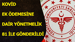 KOVİD EK ÖDEMESİNE DAİR YÖNETMELİK 81 İLE GÖNDERİLDİ