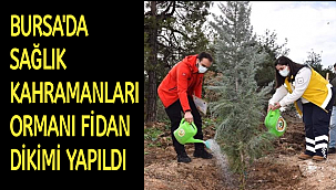 BURSA'DA SAĞLIK KAHRAMANLARI ORMANI FİDAN DİKİMİ YAPILDI