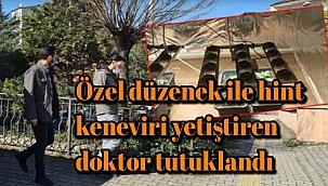 Özel düzenek ile hint keneviri yetiştiren doktor tutuklandı