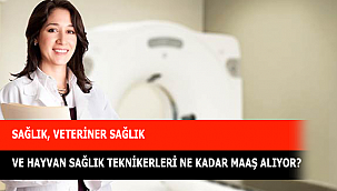 SAĞLIK, VETERİNER SAĞLIK VE HAYVAN SAĞLIK TEKNİKERLERİ NE KADAR MAAŞ ALIYOR?