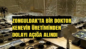 Zonguldak'ta Bir Doktor, Kenevir Üretiminden Dolayı Açığa Alındı