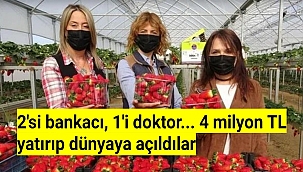 2'si bankacı, 1'i doktor... 4 milyon TL yatırıp dünyaya açıldılar