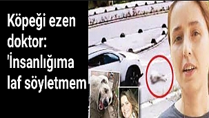 Köpeği ezen doktor: 'İnsanlığıma laf söyletmem