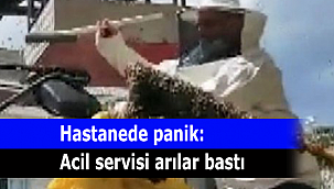 Hastanede panik: Acil servisi arılar bastı