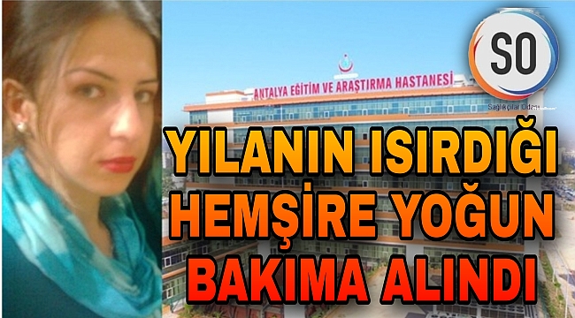 YILANIN ISIRDIĞI HEMŞİRE YOĞUN BAKIMA ALINDI