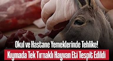 Skandal Rapor: Kıymada At ve Eşek Eti Tespit Edildi, 203 Milyonluk Kamu İhaleleri Gündemde