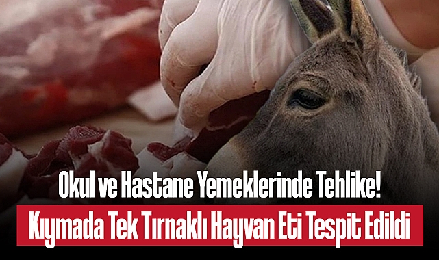 Skandal Rapor: Kıymada At ve Eşek Eti Tespit Edildi, 203 Milyonluk Kamu İhaleleri Gündemde